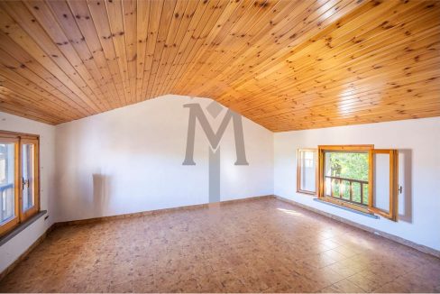 imm_46260-20251104093612-1280-