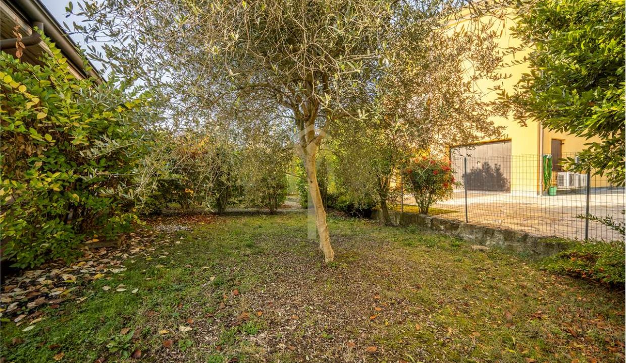 imm_46528-20251118163355-1280-