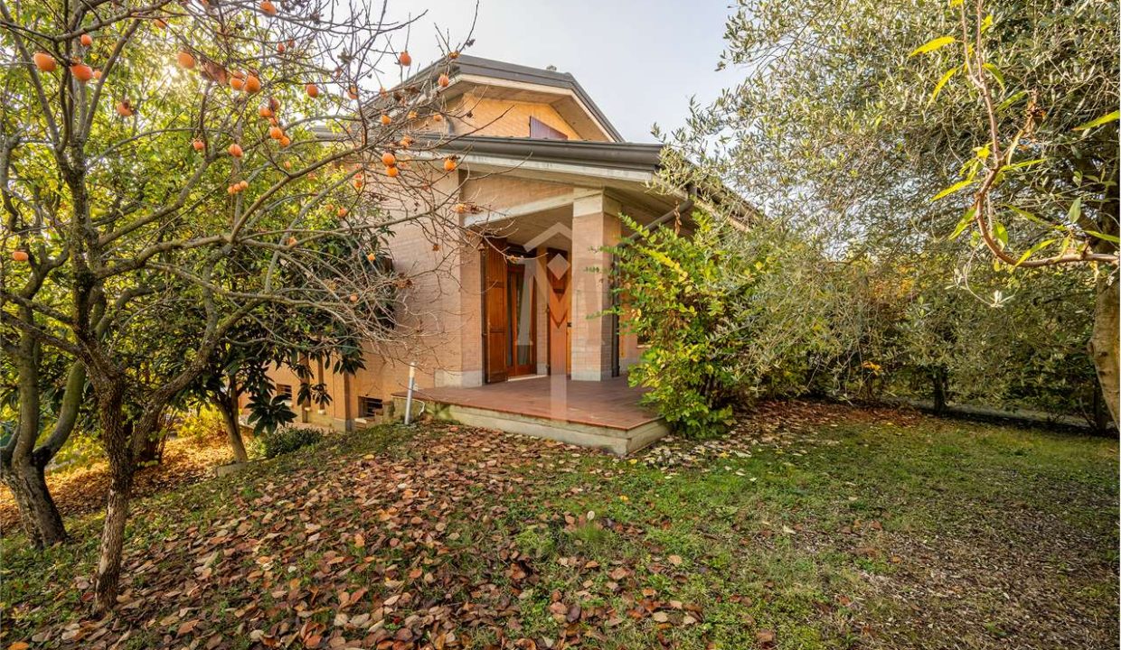 imm_46533-20251119110219-1280-