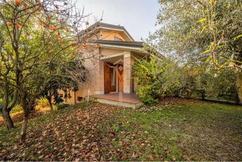 imm_46533-20251119110219-1280-