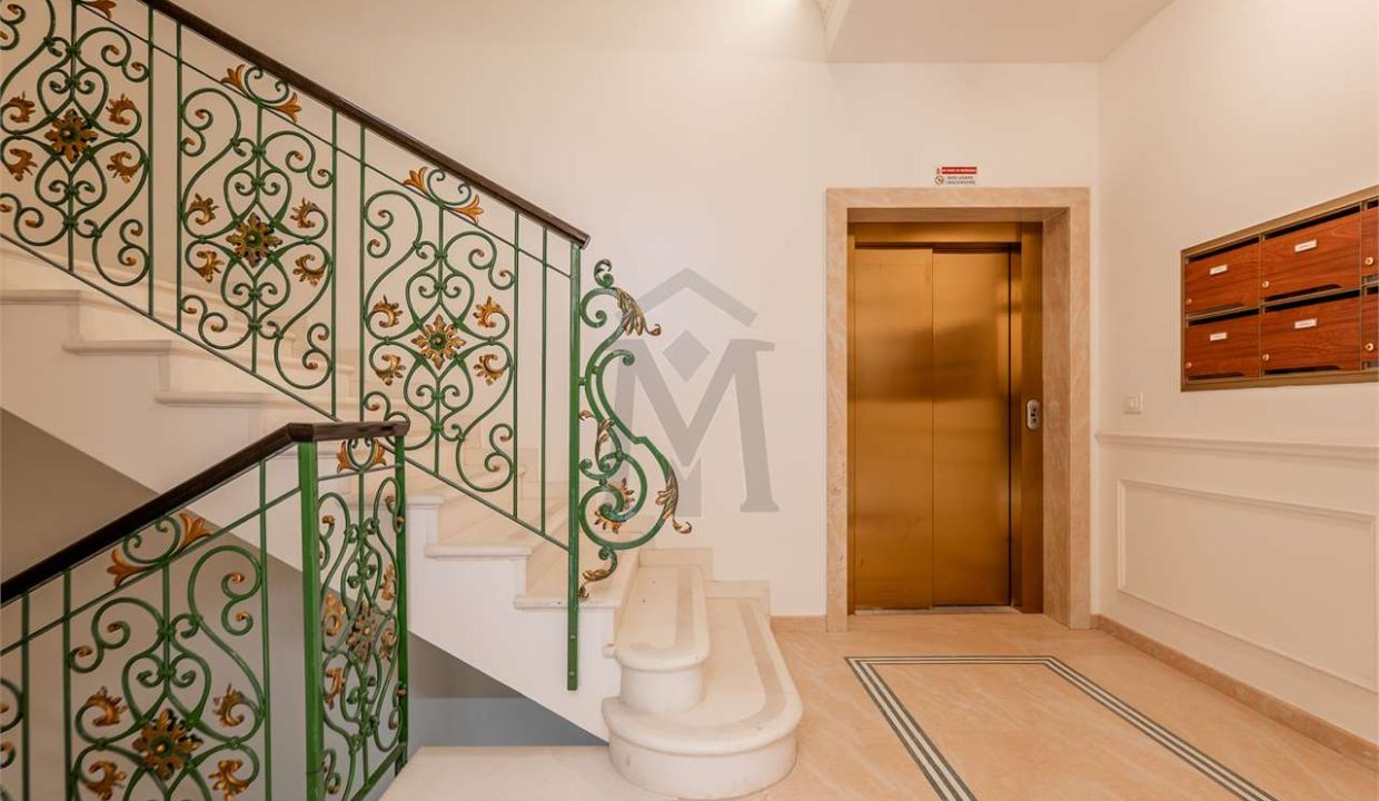 imm_47368-20251218103639-1280-