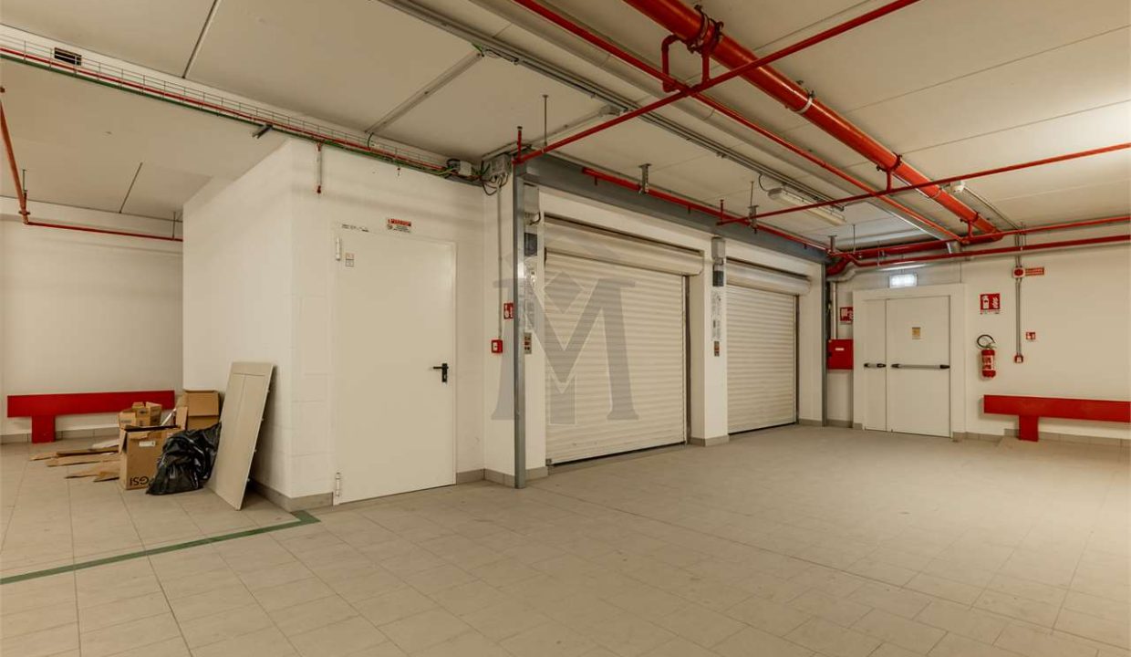 imm_47377-20251218114447-1280-