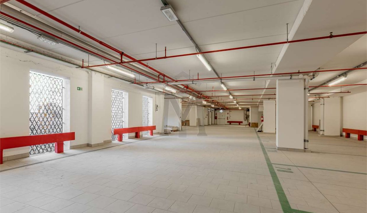 imm_47378-20251218114441-1280-