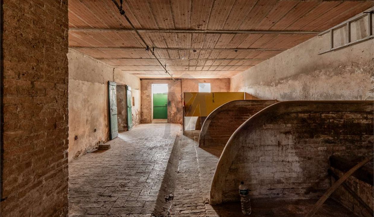 imm_47598-20260127092814-1280-