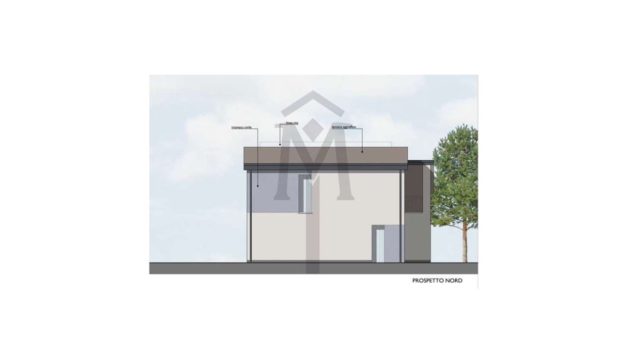 imm_47870-20260205121141-1280-