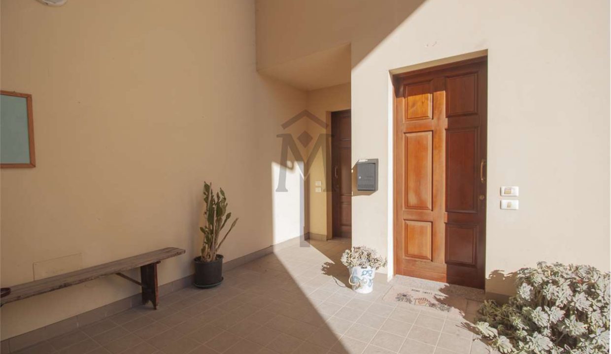 imm_47969-20260217162952-1280-