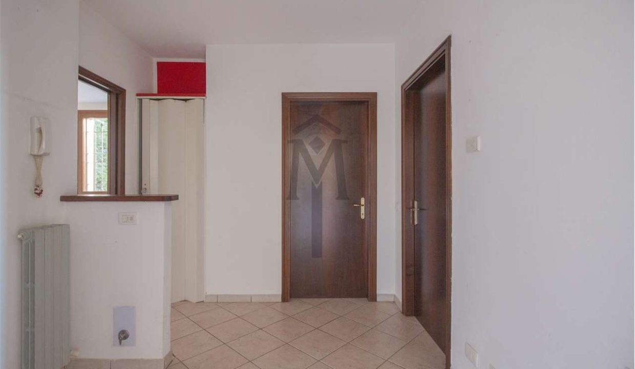 imm_47979-20260217162823-1280-