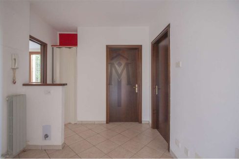 imm_47979-20260217162823-1280-