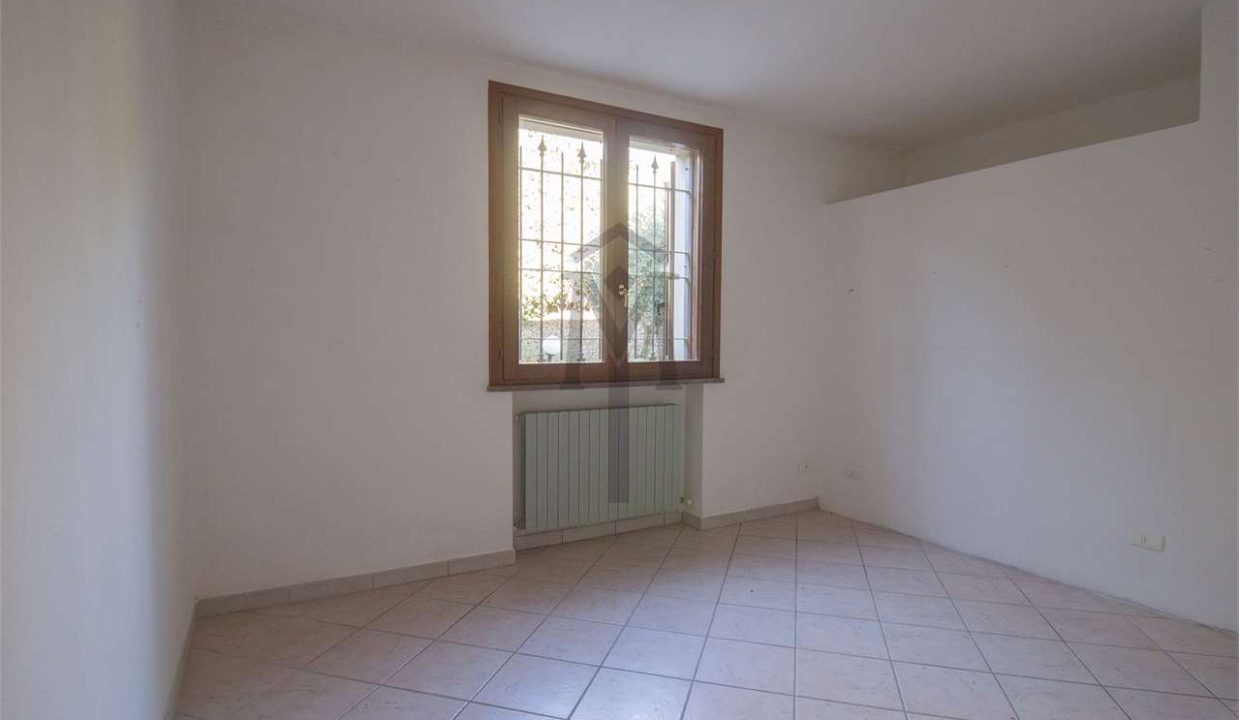 imm_47980-20260217162910-1280-