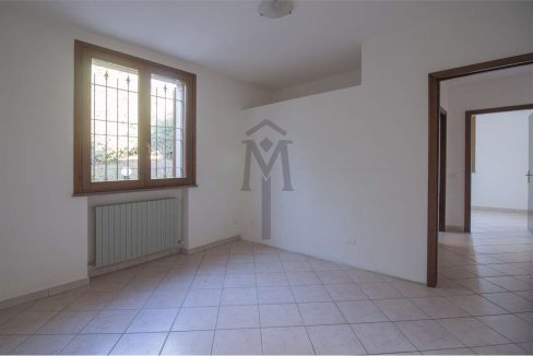 imm_47981-20260217162907-1280-