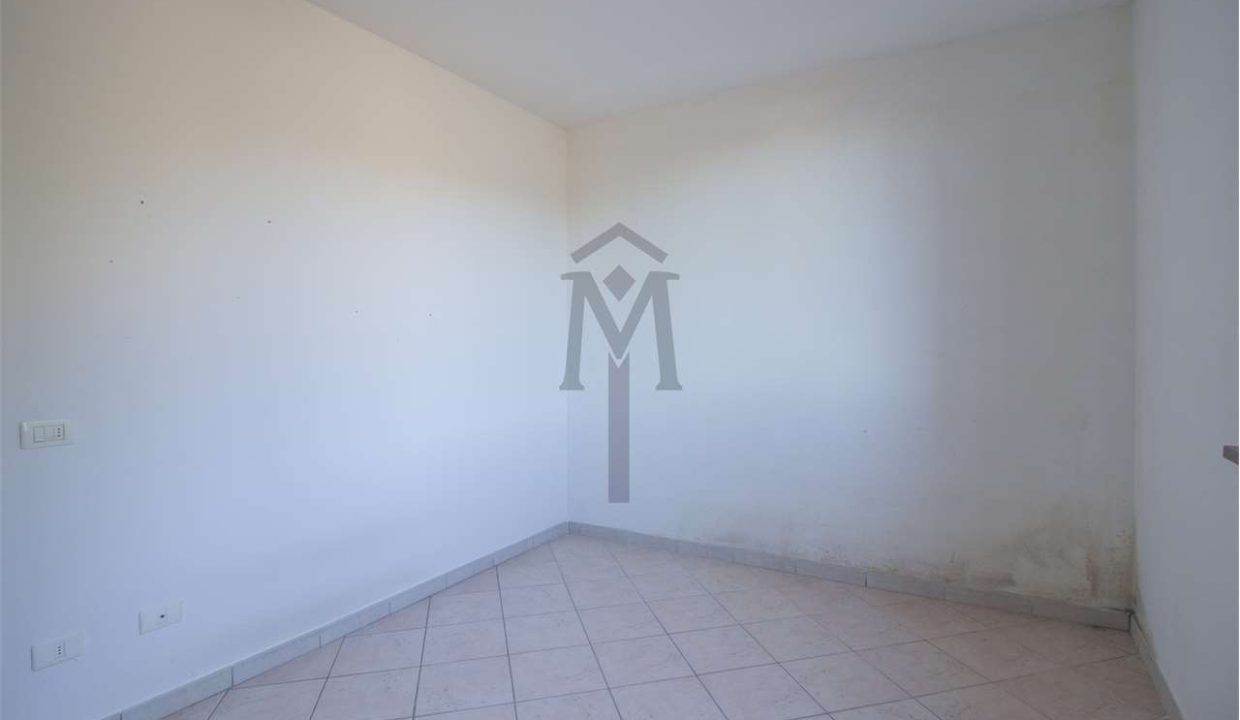 imm_47984-20260217162918-1280-