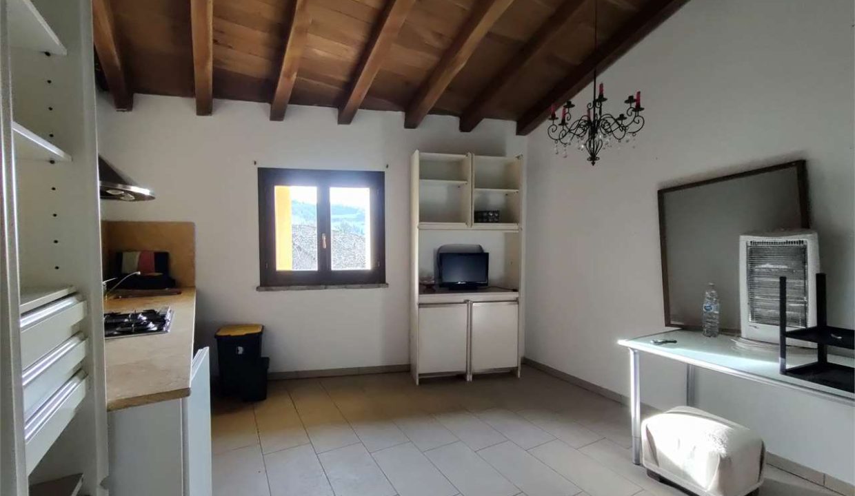 imm_48000-20260217175314-1280-