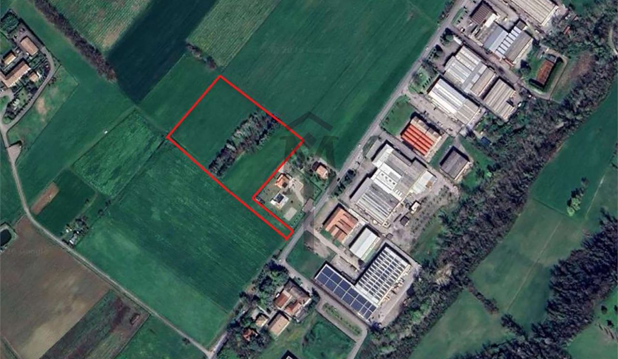 imm_48062-20260219191429-1280-