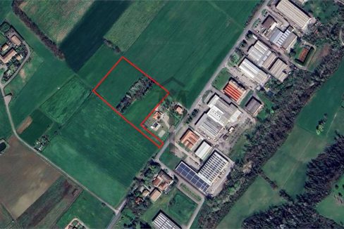 imm_48062-20260219191429-1280-