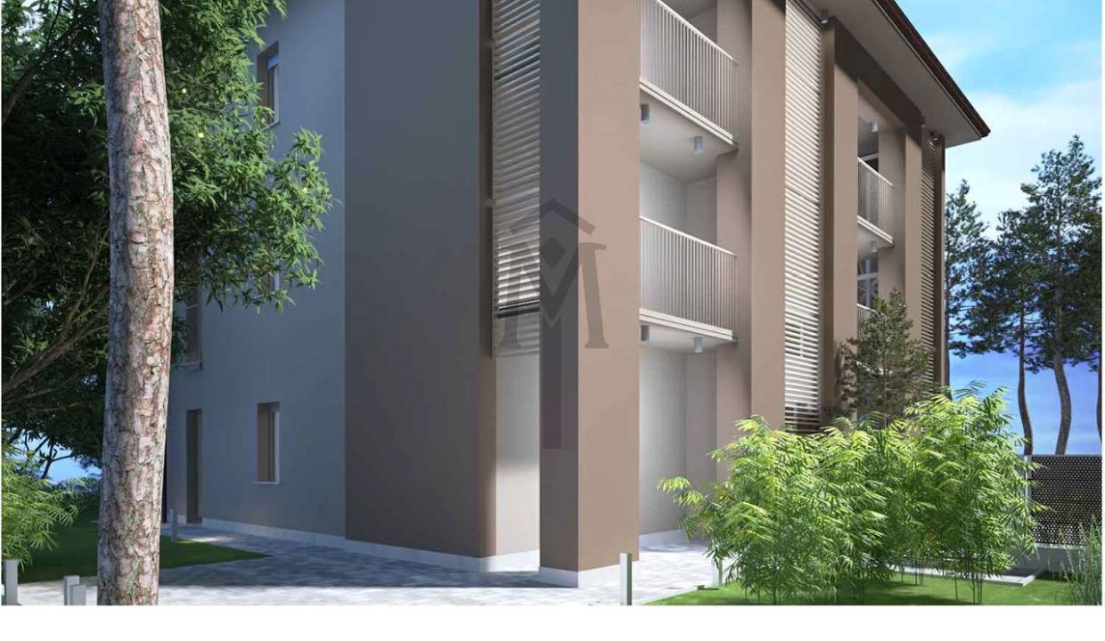 imm_48065-20260219192956-1280-