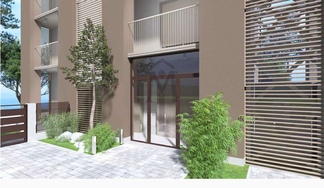 imm_48066-20260219192958-1280-