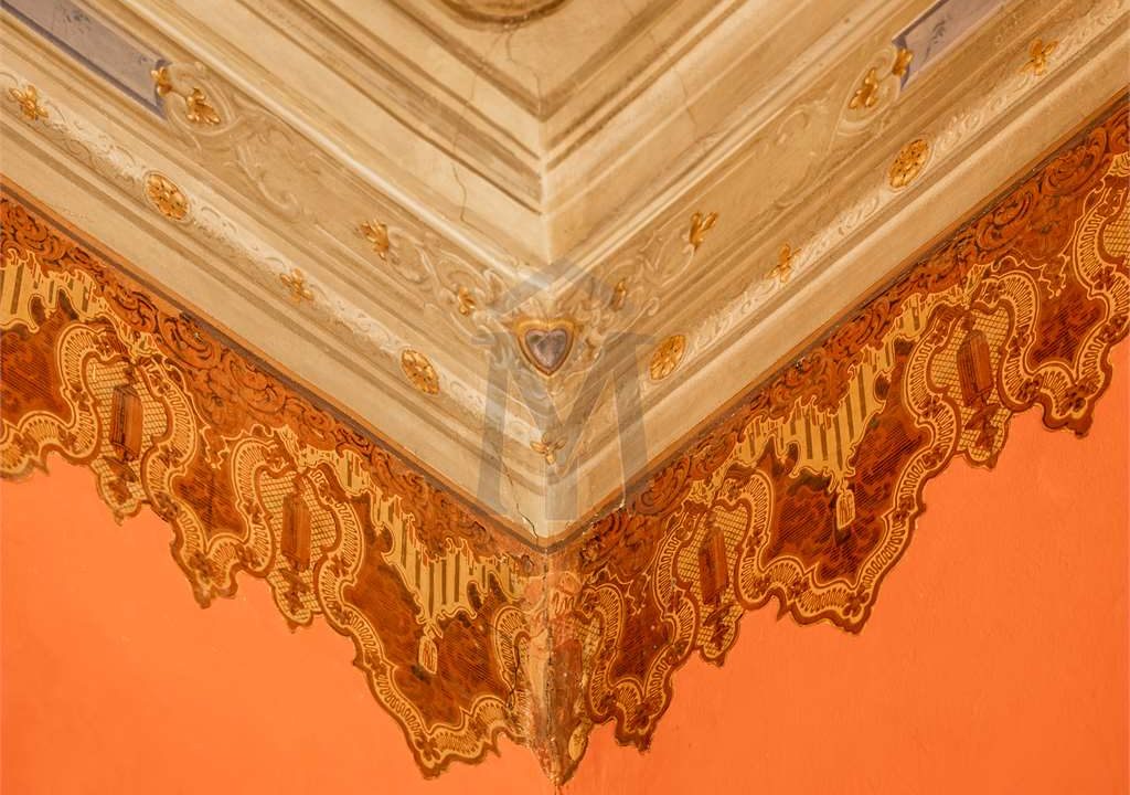 imm_48109-20260227161151-1280