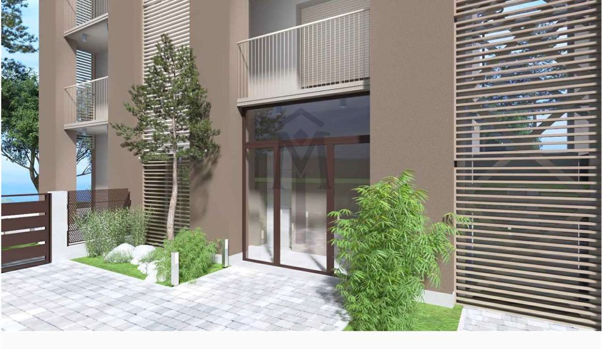 imm_48148-20260220105851-1280-