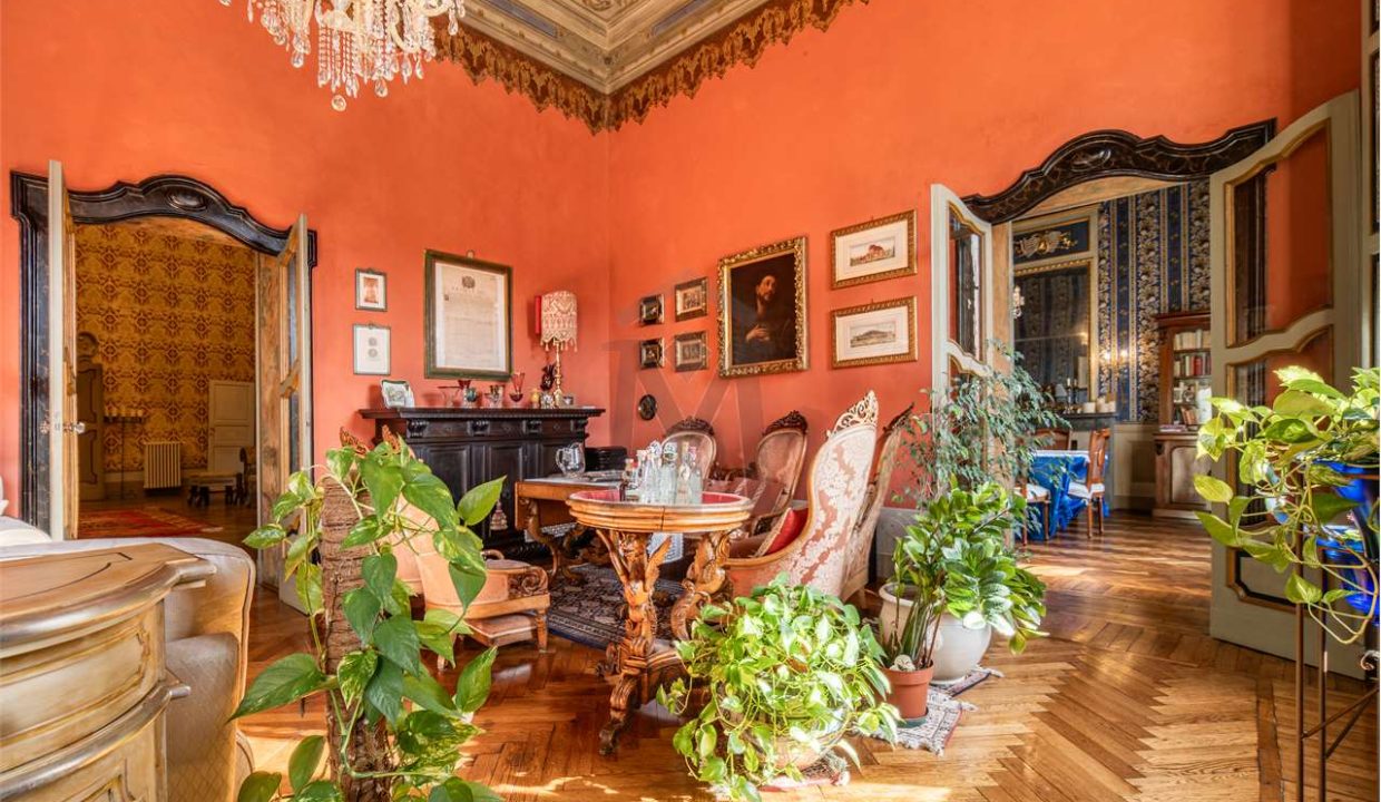 imm_48170-20260302171115-1280-