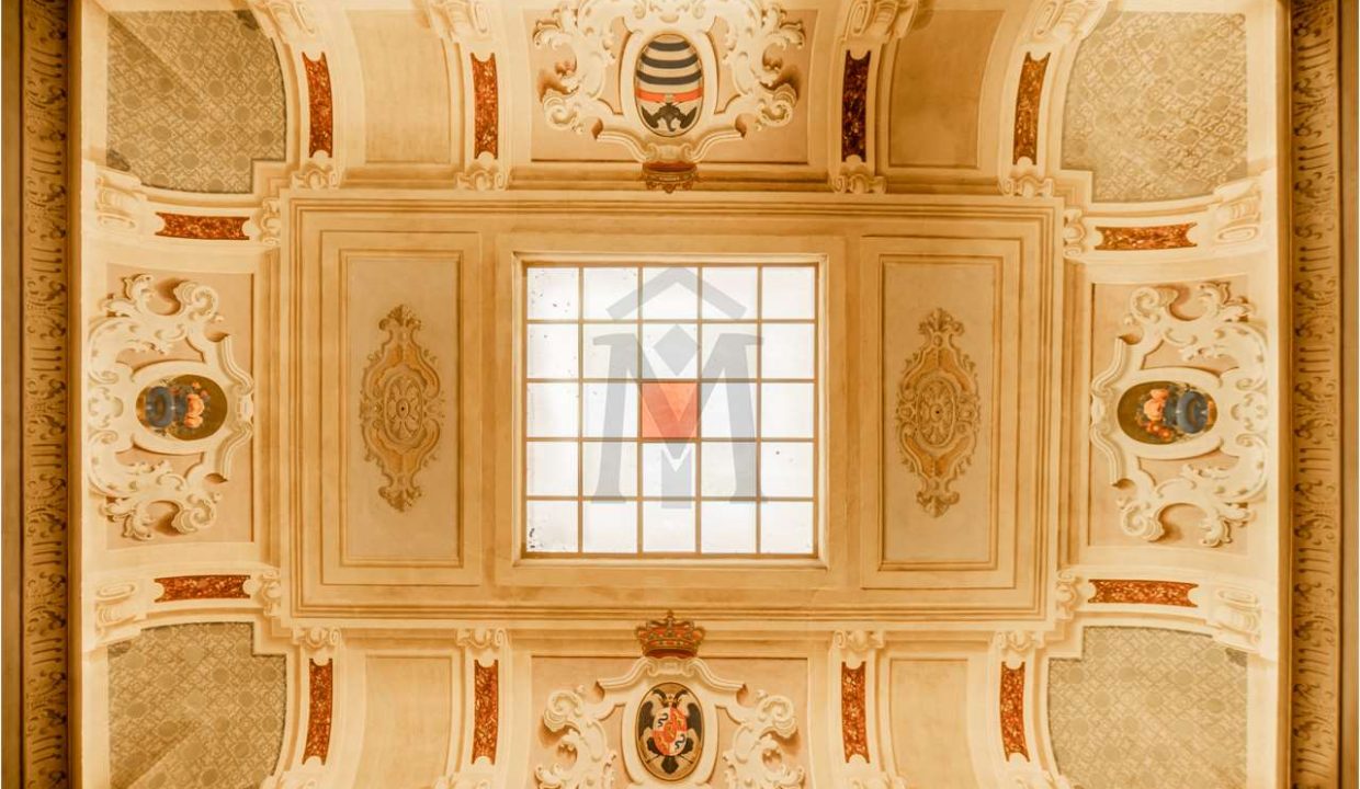 imm_48189-20260302171207-1280-