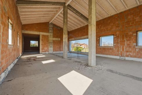 imm_48229-20260226113412-1280-