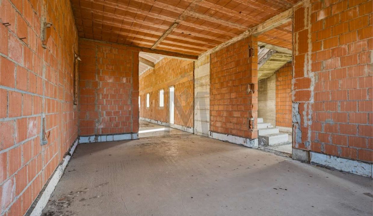 imm_48230-20260226113414-1280-