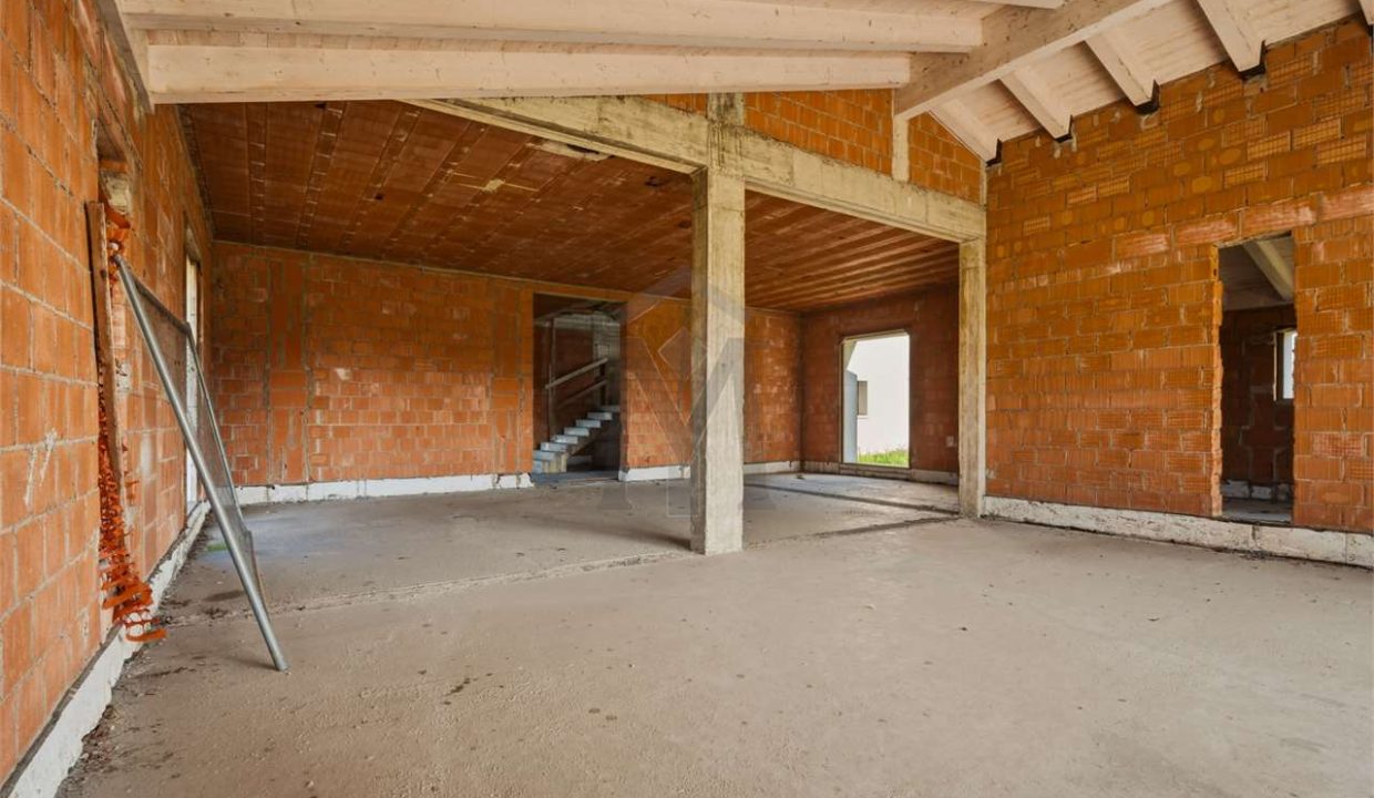 imm_48233-20260226113421-1280-