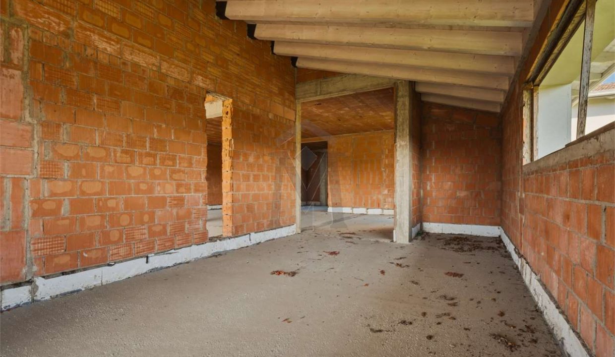 imm_48236-20260226113427-1280-