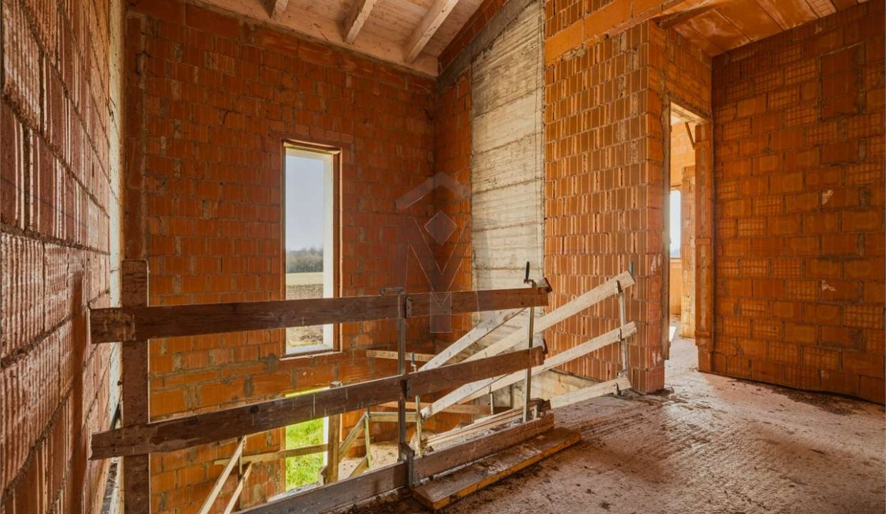 imm_48245-20260226113457-1280-