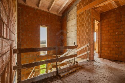 imm_48245-20260226113457-1280-