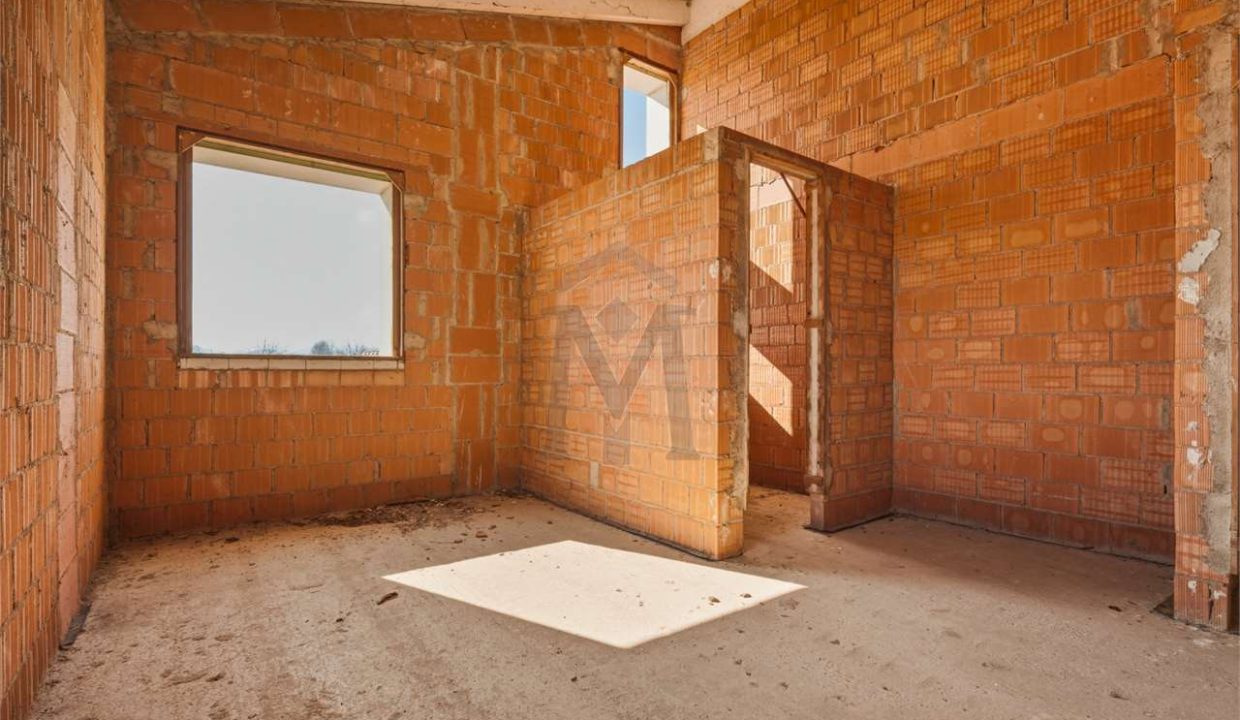 imm_48246-20260226113459-1280-