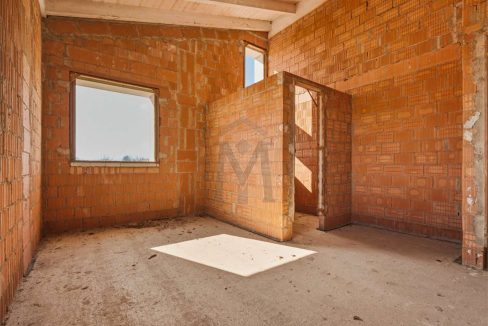 imm_48246-20260226113459-1280-