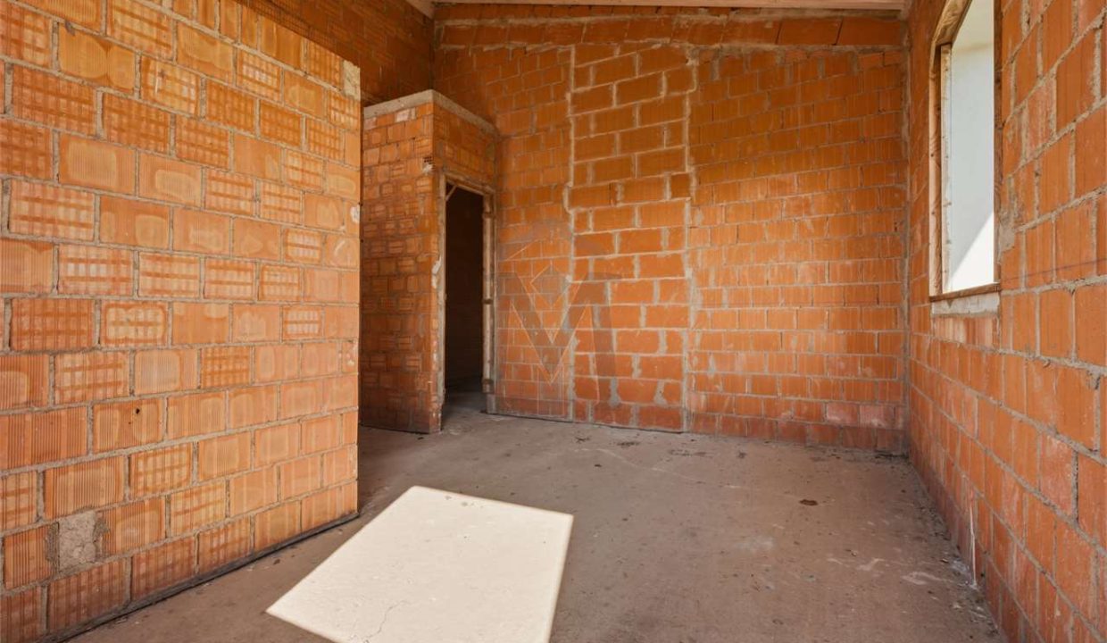 imm_48247-20260226113500-1280-