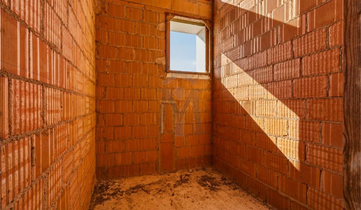 imm_48248-20260330184820-1280-