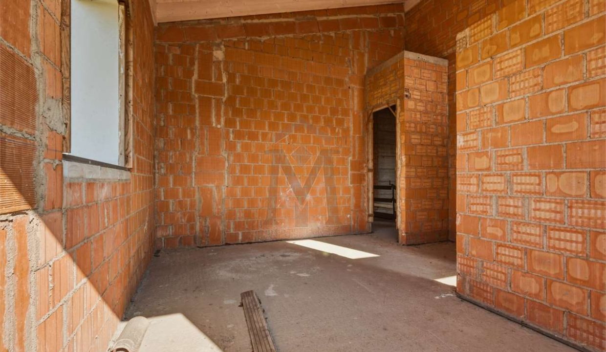 imm_48250-20260226113505-1280-