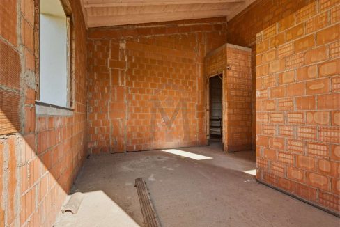 imm_48250-20260226113505-1280-