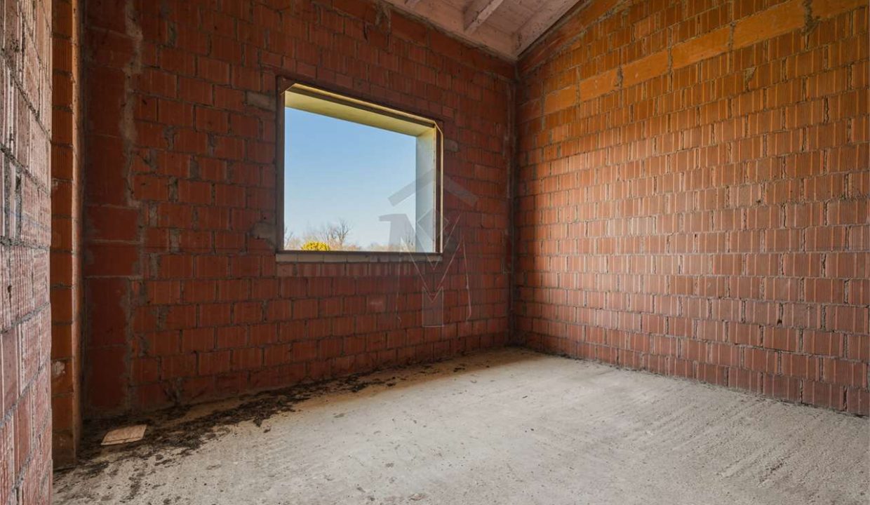 imm_48251-20260226113507-1280-