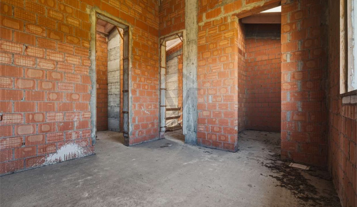 imm_48252-20260226113509-1280-