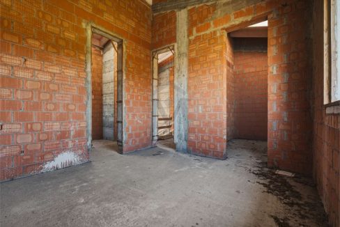 imm_48252-20260226113509-1280-