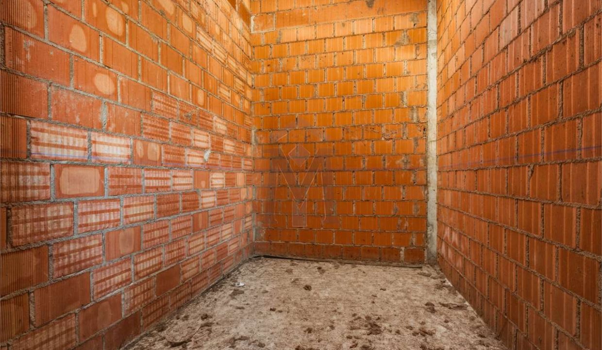 imm_48254-20260226113514-1280-