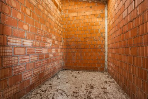 imm_48254-20260226113514-1280-