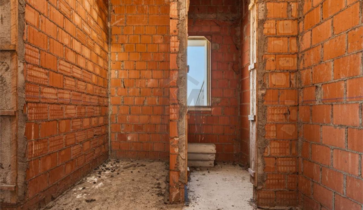 imm_48255-20260226113517-1280-