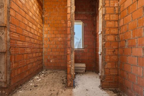 imm_48255-20260226113517-1280-