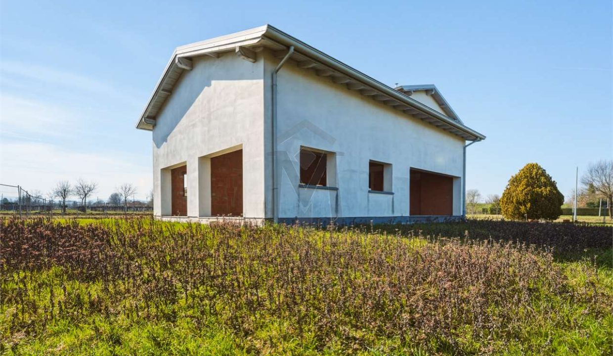 imm_48256-20260226113520-1280-