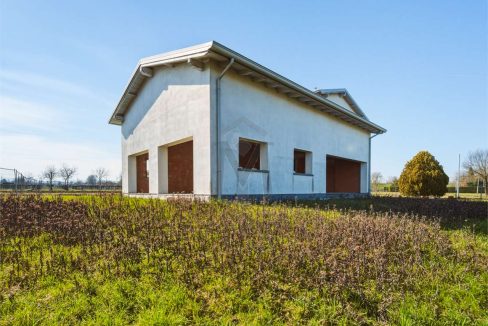 imm_48256-20260226113520-1280-