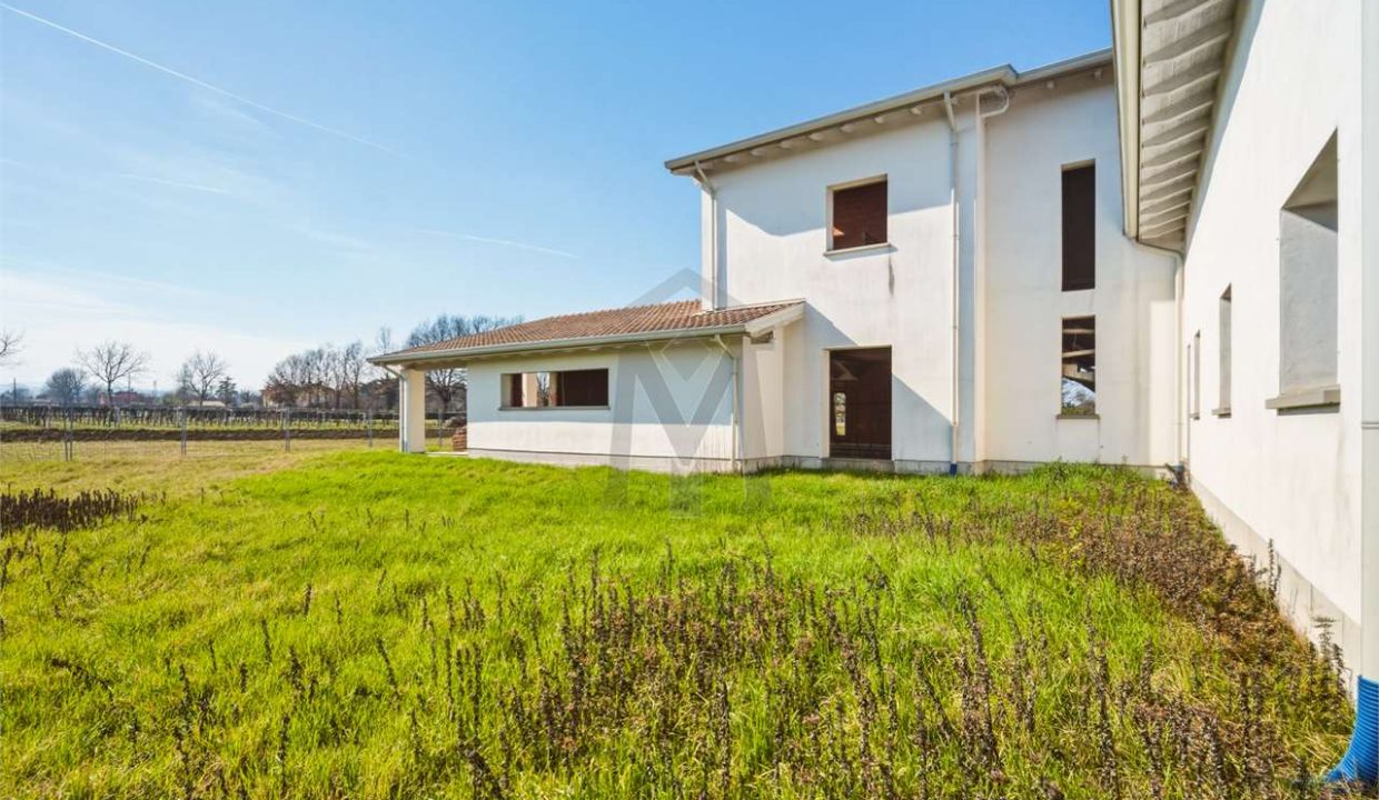 imm_48257-20260226113523-1280-