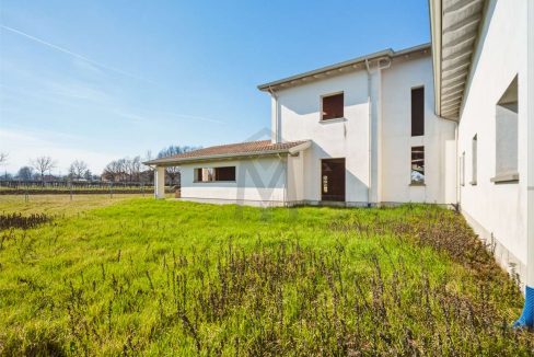 imm_48257-20260226113523-1280-