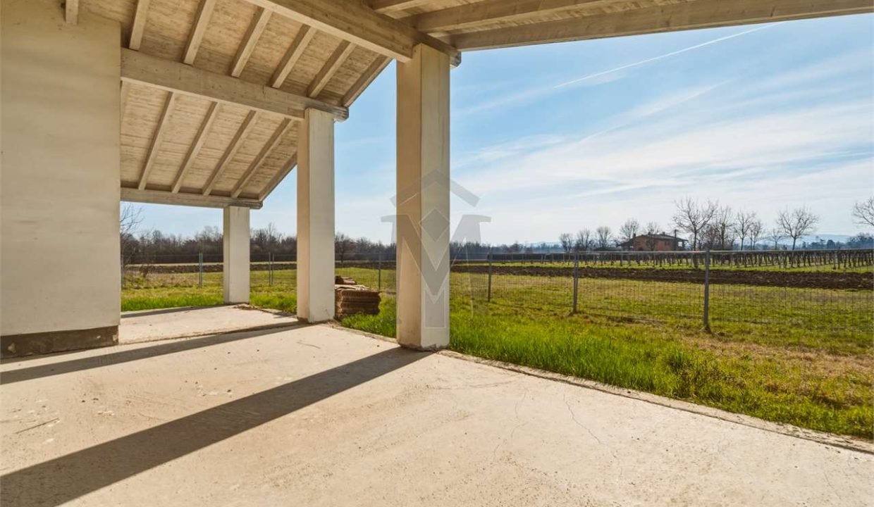 imm_48258-20260226113525-1280-