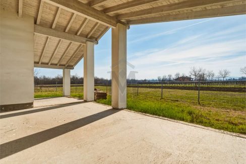 imm_48258-20260226113525-1280-