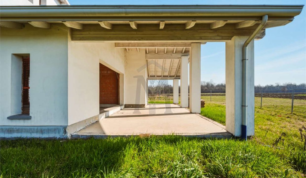 imm_48259-20260330183303-1280-